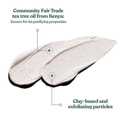 Tea Tree 3 in 1 Wash Scrub & Mask – Purifying Vegan Skincare for Oily, Blemished Skin – 4.2 Oz